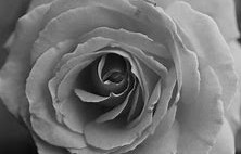 grayscale.ctb，grayscalectb中文翻译